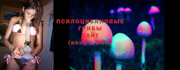 первитин Армянск