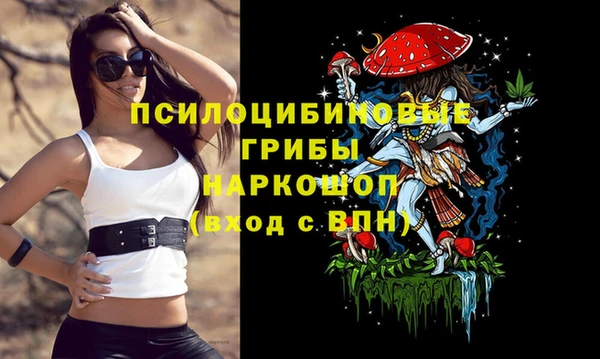 стаф Аркадак